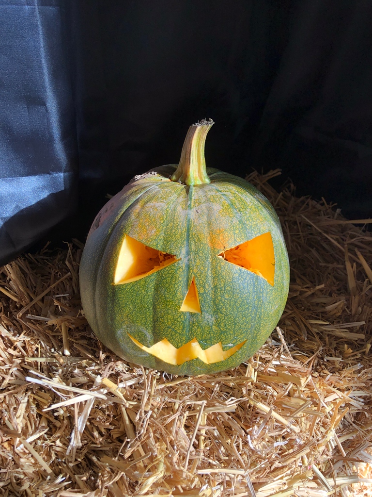 Happy Halloween! We hope you enjoyed our Halloween Trail 🎃 Rays Farm is now CLOSED for the 2022 season and will re-open for our Christmas Event on 10th/11th , 17th/18th , 22nd, 23rd, and 24th December. Booking essential. Slots selling fast! raysfarm.com/book-online-now #raysfarm