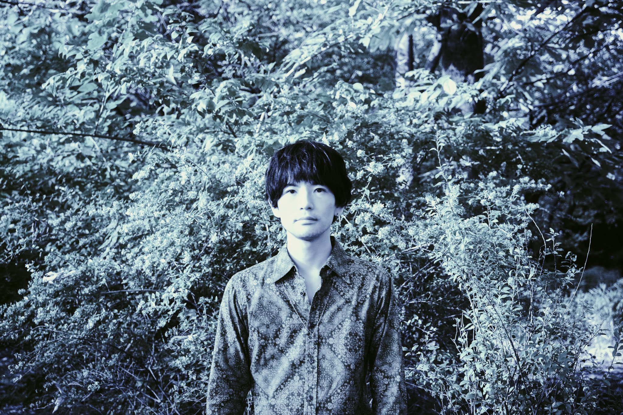 西山裕也 Yuyayuyon17 Twitter