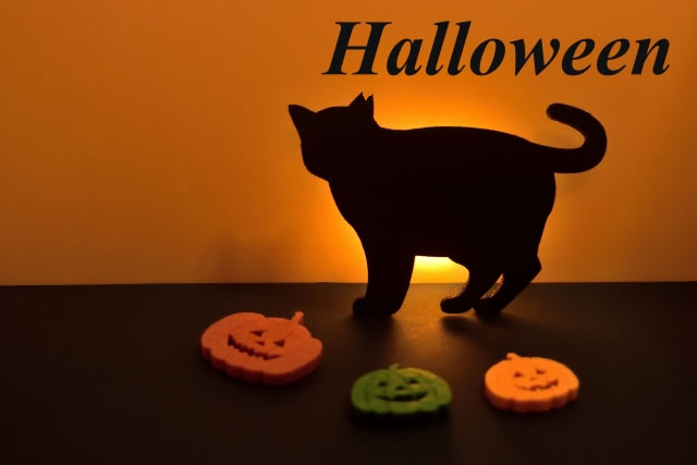 猫耳コンテスト Twitter Search Twitter