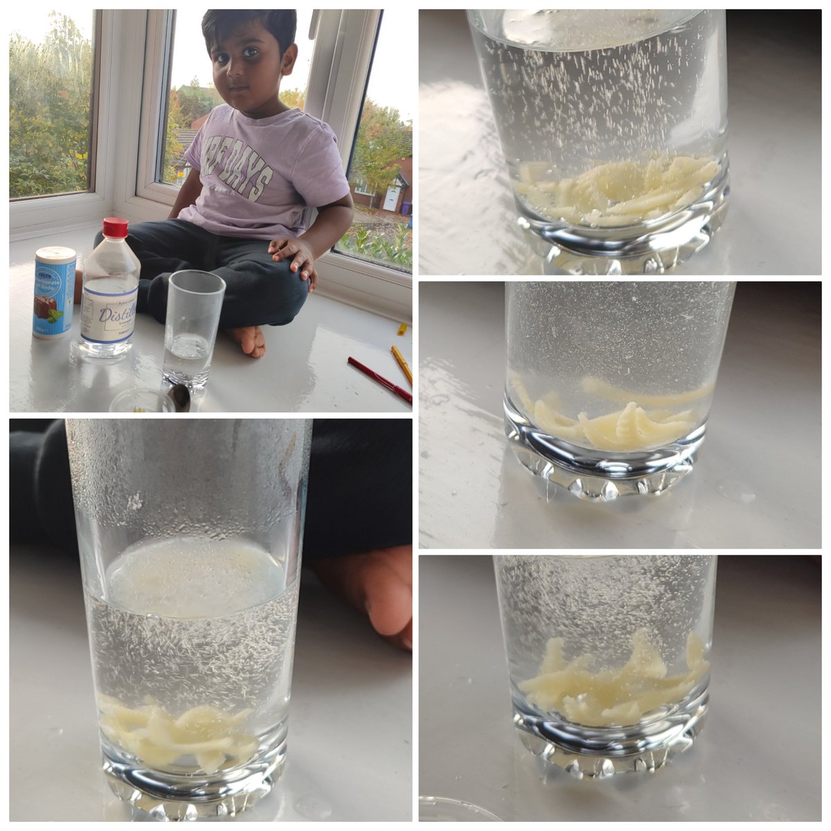 Geethu Sudheesh tweet media