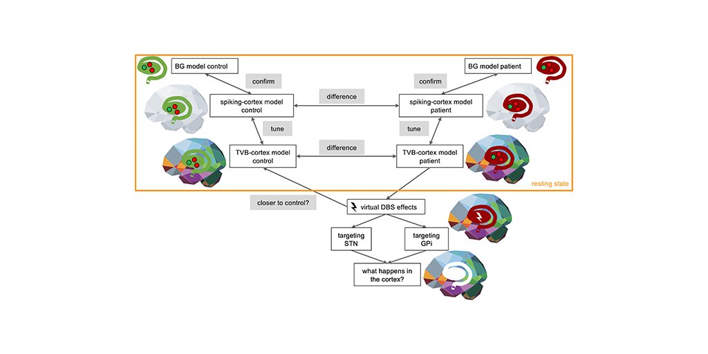 EBRAINS (@ebrains_eu) on Twitter photo Researchers are using <a href="/thevirtualbrain/">The Virtual Brain</a> on EBRAINS to simulate the effects of deep brain #stimulation in #Parkinsons disease.
Simulating electric stimulation can help clinicians to “preview” the effects and plan therapies accordingly.
Read more: bit.ly/3DlpbG8 Researchers are using <a href="/thevirtualbrain/">The Virtual Brain</a> on EBRAINS to simulate the effects of deep brain #stimulation in #Parkinsons disease.
Simulating electric stimulation can help clinicians to “preview” the effects and plan therapies accordingly.
Read more: bit.ly/3DlpbG8