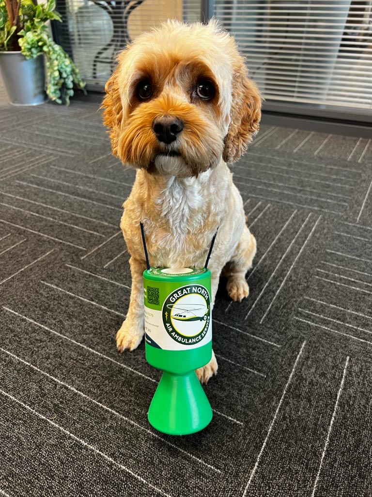Want to join Poppy in servicing our collection boxes in your local area? 🐾 We're on the lookout for volunteers across our region to look after our iconic green tins. Find out if we need help: greatnorthairambulance.co.uk/support-us/vol… #NorthEast #Volunteer