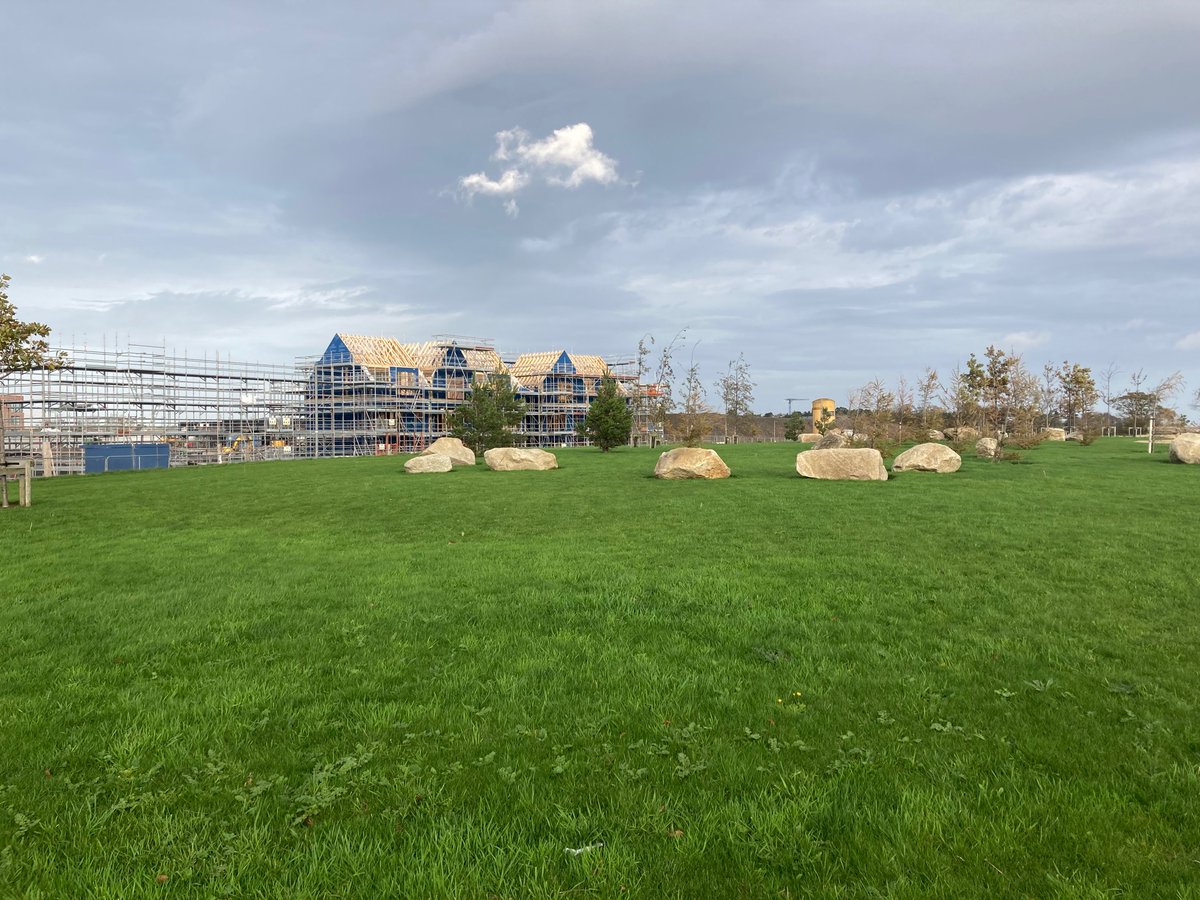 Tara Connolly on Twitter "Please can some international urban planners stage an intervention in