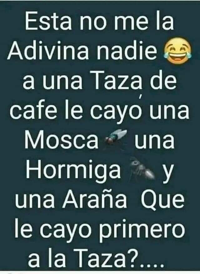 Marco Rodas™👑🇬🇹 tweet media