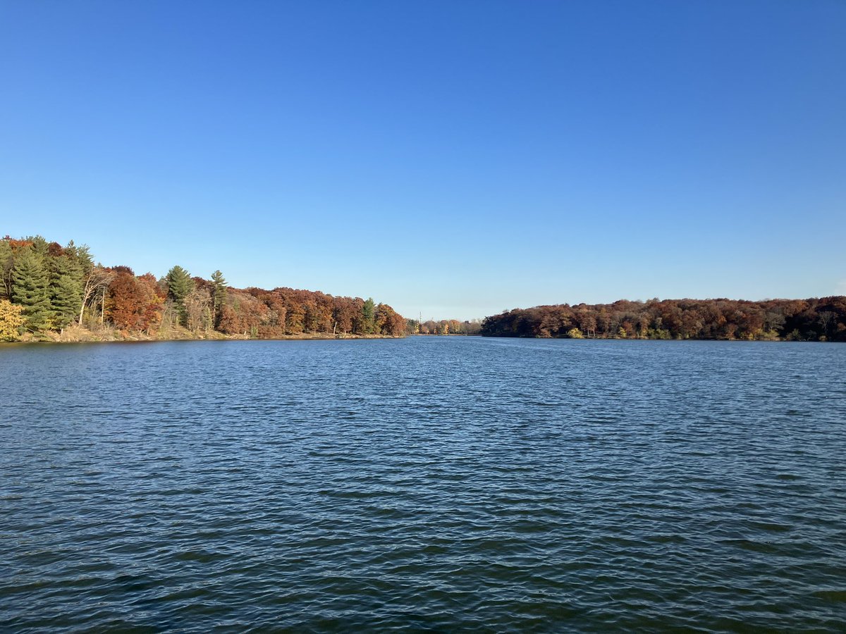 Danielle__Diver's tweet photo. What a wonderful weekend. Popped over to Chicago from NYC to attend the North American Association of Philosophy of Education (NAAPE) conference. Wonderful atmosphere; high quality talks; and fantastic conversation all round. I hope to get the chance to attend again! 🇺🇸 #naape https://t.co/qSl8kcvHaV
