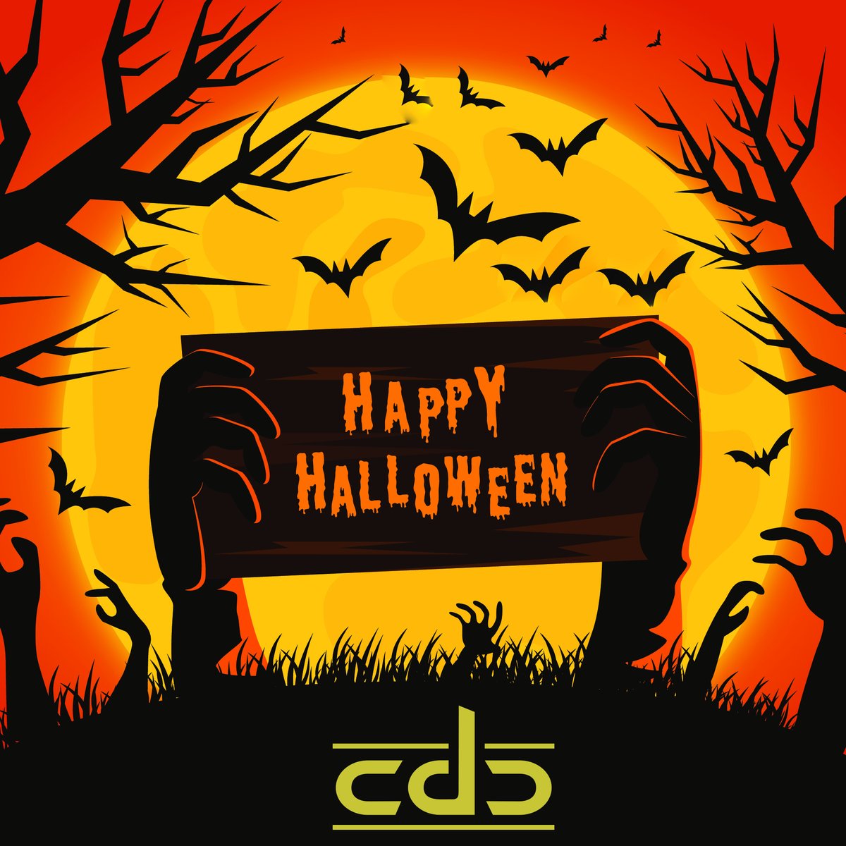 Nothing is scarier than a leaky pipe! Thankfully we can fix that before it becomes an issue.