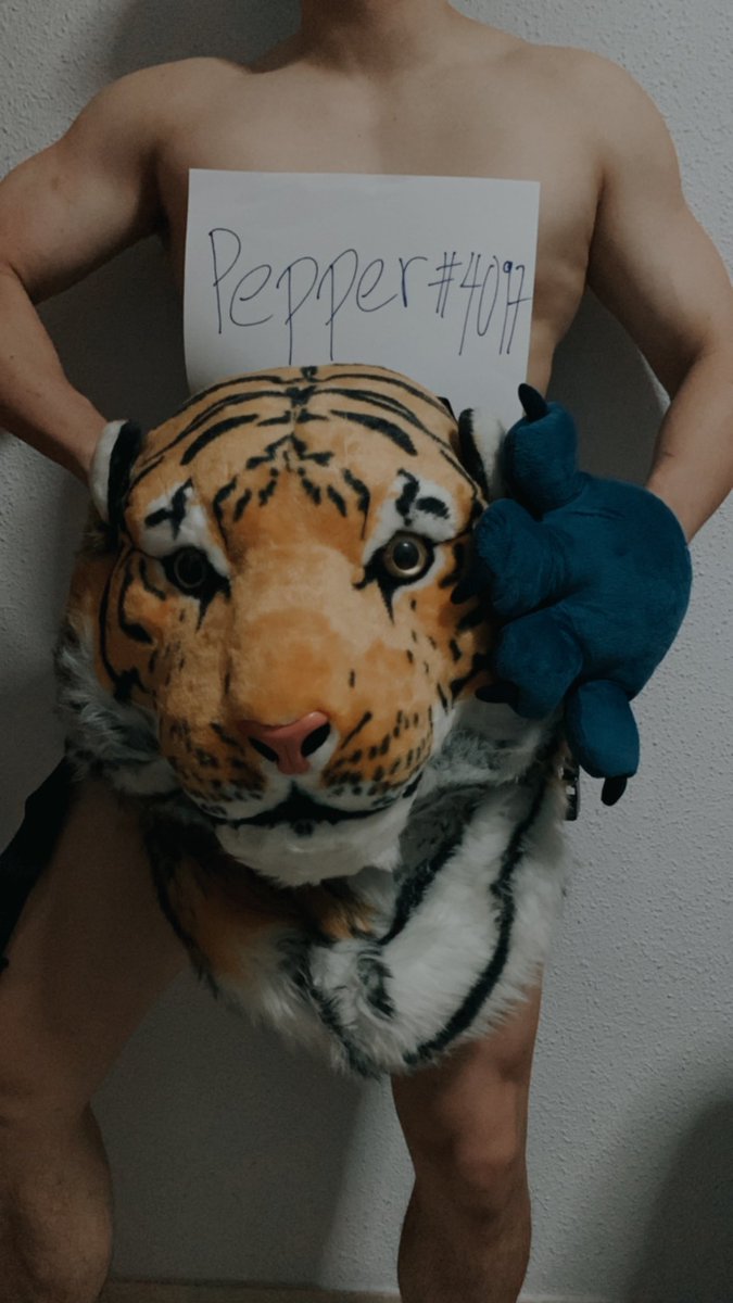 Pepperoni_ada's tweet photo. Happy Halloween! Rawrrrr! 🐯 @MallardOrder 
#CNFT #CNFTProject #Cardano #TMO #MallardOrder #Halloween https://t.co/eKtDPVV7uZ