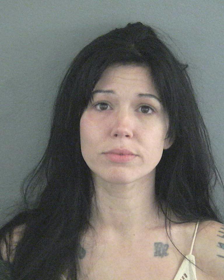 mugshawtys-on-twitter-child-neglect-damage-to-property-and-criminal