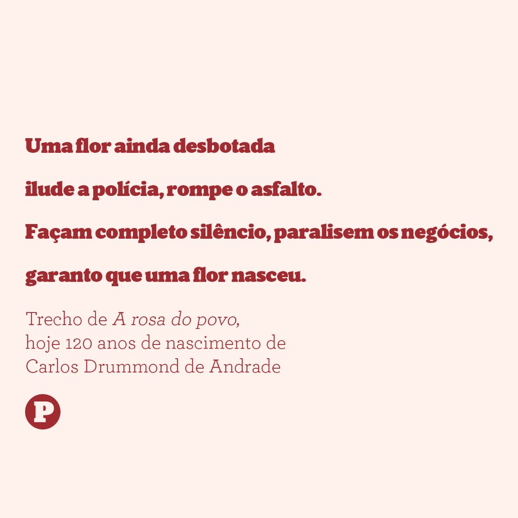 pernambucorev tweet picture