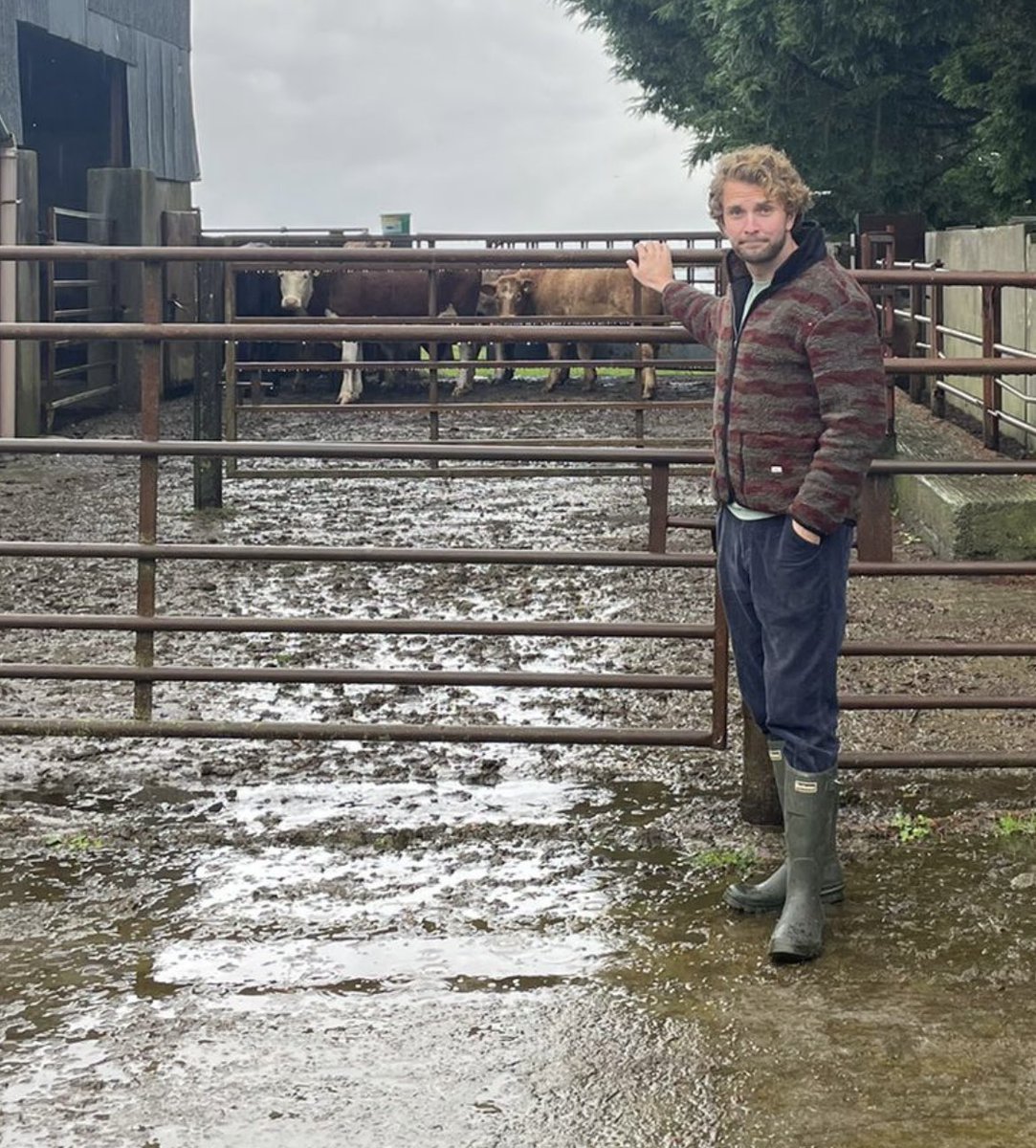 Finn Murphy tweet media