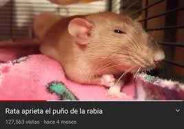 Instagram devuélvenos nuestra vida primer aviso.