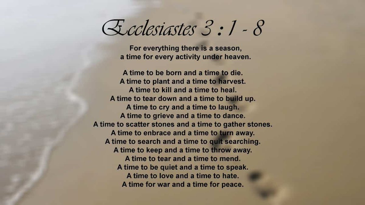 Hcoops76's tweet photo. Group lectio Divina with this reading. Voted by my students as their favourite (math) lesson this year! #kolbe #prayerinmath https://t.co/9BJ8WIC3zy