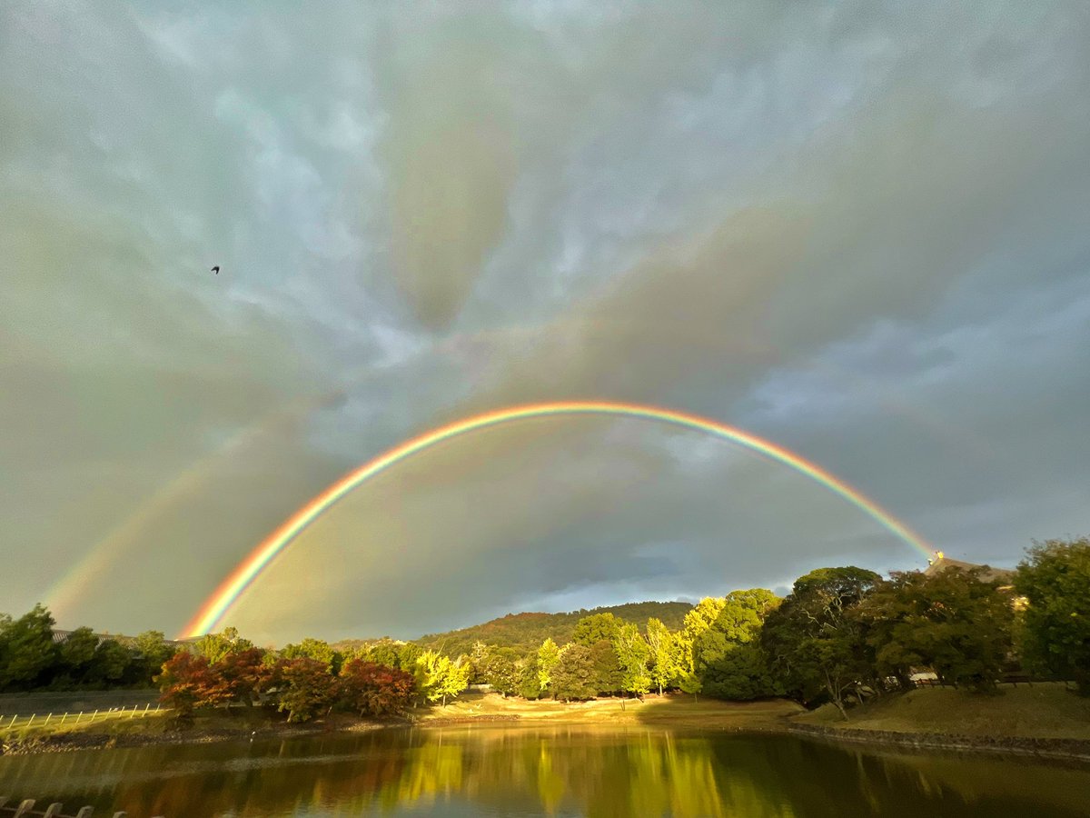 電柱の無い奈良公園ならではの素晴らしい虹。右端は東大寺大仏殿。
まさに神がかって、いや仏がかってる。

#奈良公園　#虹　#東大寺