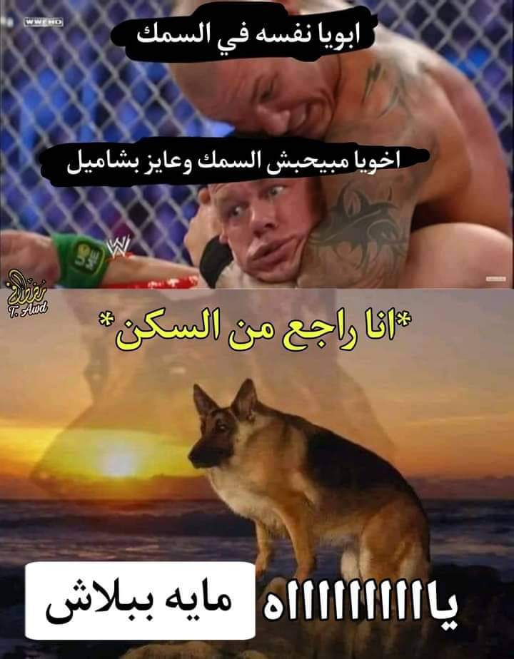arabmemesss's tweet photo. https://t.co/DWqCUwctjH