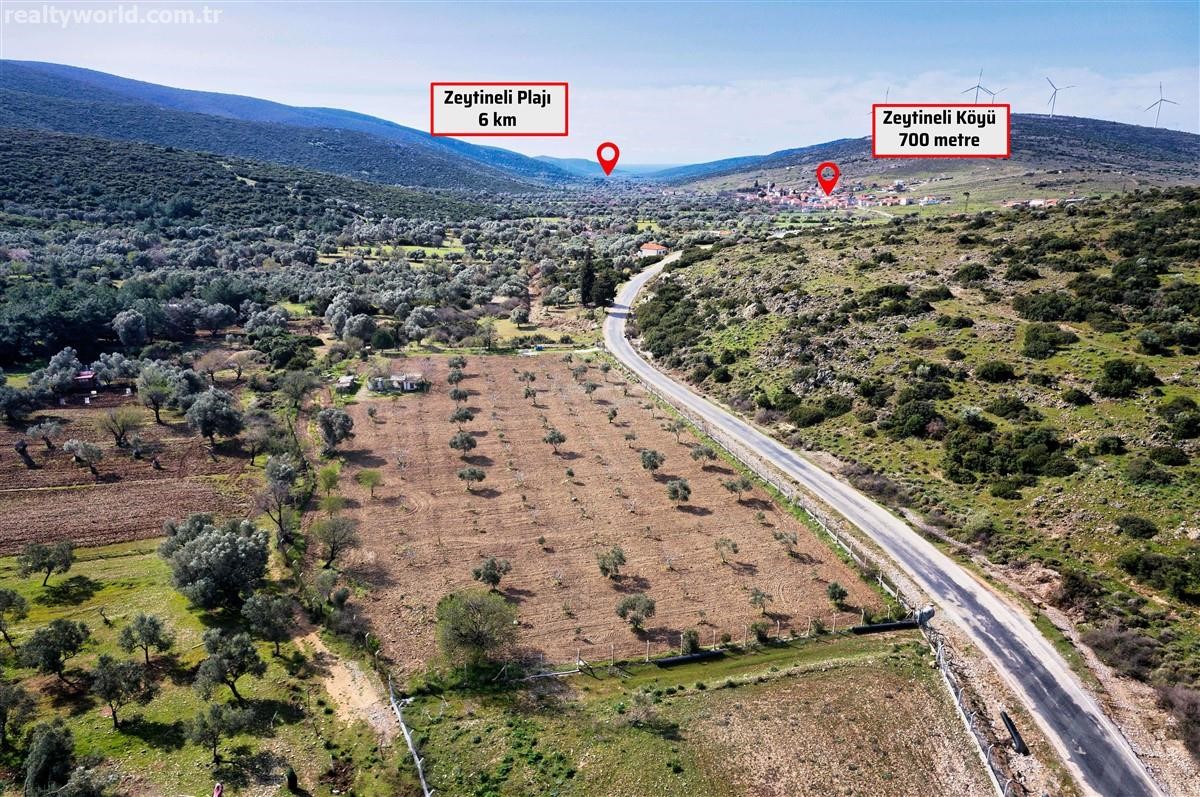 projecttrcom's tweet photo. Land for sale, Unnamed Road, in Zeytineli, Turkey
 📌Urla, Izmir 

URLA ZEYTİNELİ 3945 M2 FIELD
OLIVE IS THE RAPIDLY DEVELOPING REGION THAT ..

https://t.co/pUwVQddWx1

#urla #izmir #urlaland #izmirland #propertyizmir #propertyturkey #turkey #projectturkey https://t.co/X1f6NvjKRe