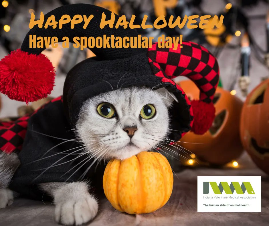 Tweet by IN Vet Med Assoc