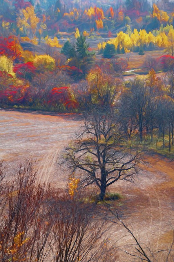 jrtwynam's tweet photo. A barren tree stands alone in a field, surrounded by bright colourful #Autumn foliage near #Milton, #Ontario. #Painterly effect.

https://t.co/bVOyCARcjP

#BuyIntoArt #PrintsForSale #OnlineShopping #ShopEarly #FallIntoArt #Nature #NaturePhotography #AutumnColours https://t.co/HQ9rVevgko