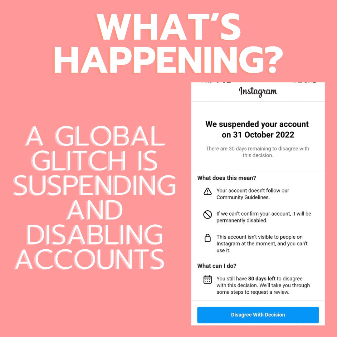 Muriel Foley tweet media