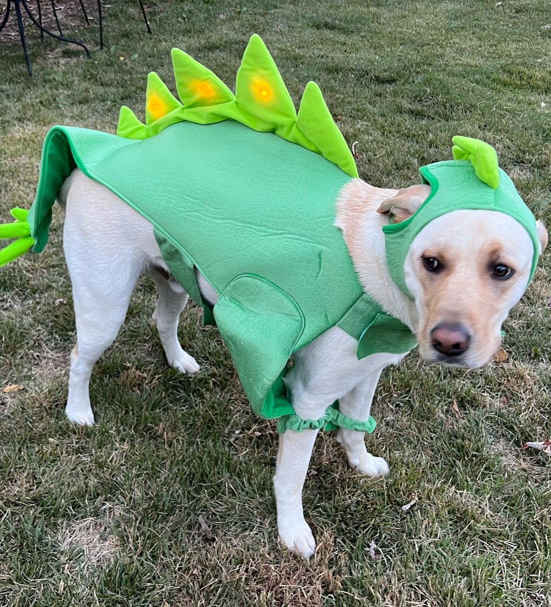 🎃Happy Halloween 👻 from these two crazy 🦖’s 🧡🖤💚
