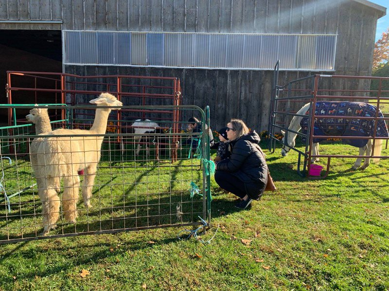 kblair006's tweet photo. Went for a mini hike and and an animal pet at a local horse farm this weekend. Supported local vendors set up selling their crafts #aetsustychallenge https://t.co/nug2a0xVJl