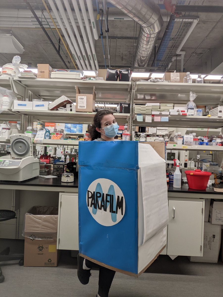 Isabelle Hinch (@bellehinch) on Twitter photo Happy Halloween from the lab! Dressed as my favorite lab essential this year <3 #parafilm <a href="/L_Porterlabrats/">Porter lab</a> Happy Halloween from the lab! Dressed as my favorite lab essential this year <3 #parafilm <a href="/L_Porterlabrats/">Porter lab</a>