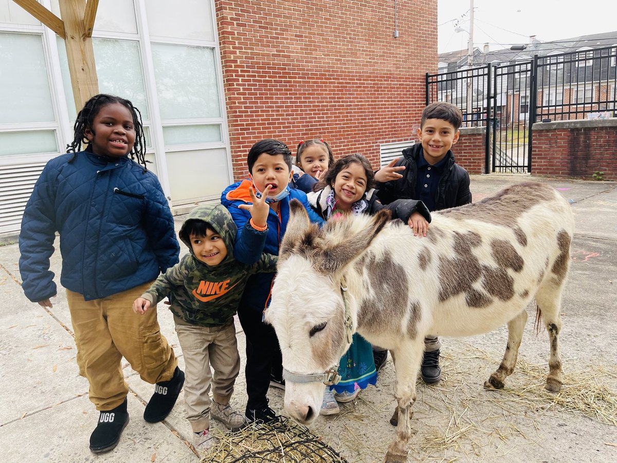 HeyMrsSavage's tweet photo. It’s fall, and it’s a festival! Literary book pumpkin contests, a petting zoo, and games - oh my!  Shout out to the @LakelandSchool culture team for the planning and prep 🙂 https://t.co/uOeNnR4Xni
