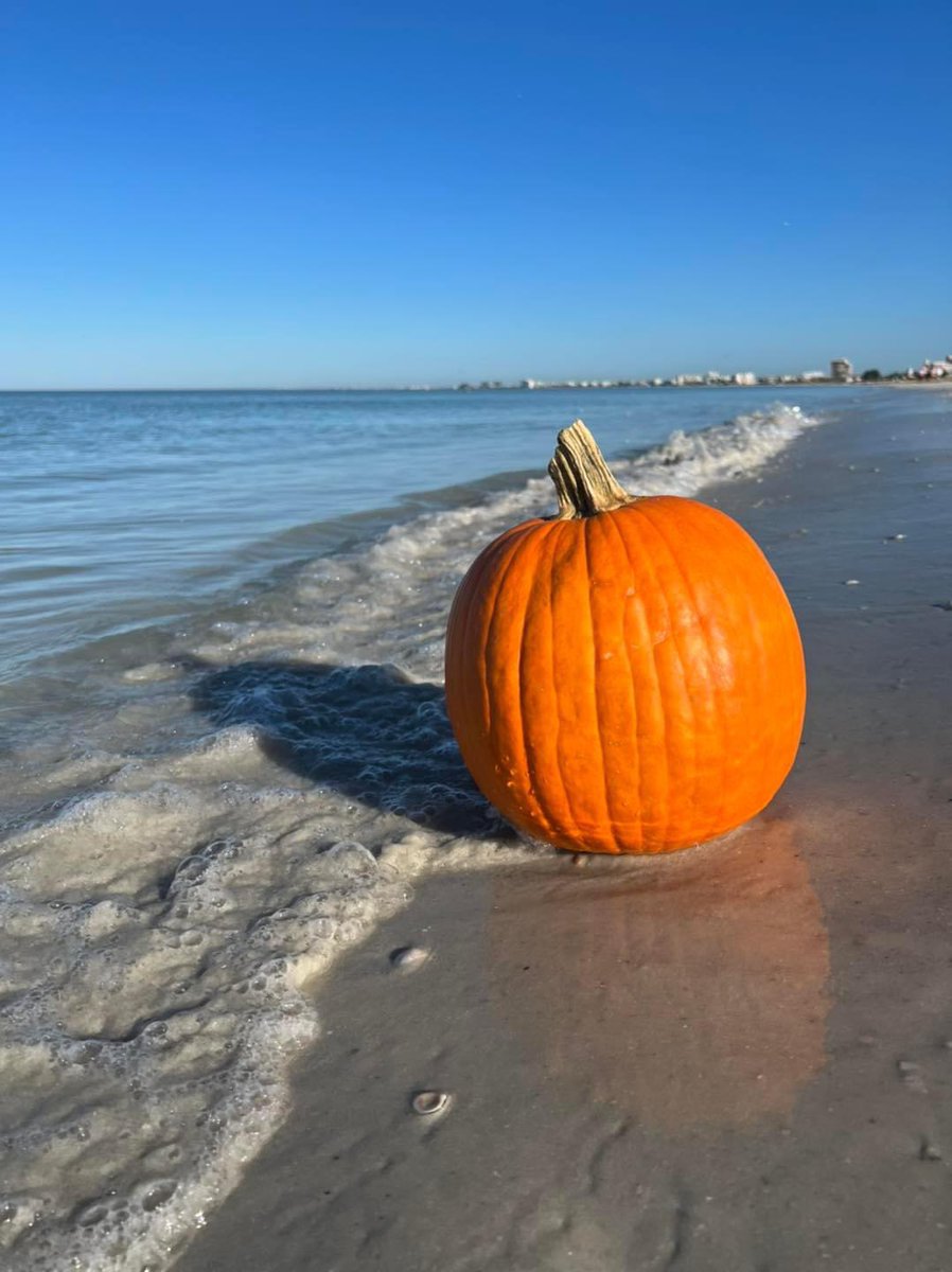Happy Halloween from St. Pete Beach 🎃 #happyhalloween2022