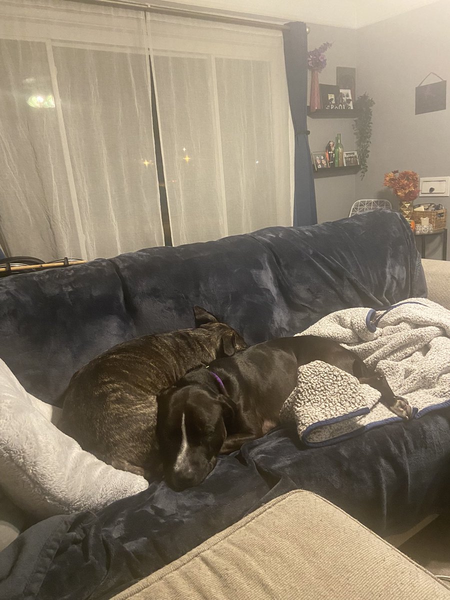 Week 2 down! <a href="/1130kath/">Kat 🪩🏳️‍🌈</a> and I were in complete shock when this happened.