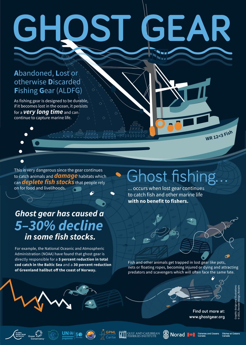 Pacific Whale Watch Association 🐳 on X: This Halloween, let's talk about  something truly spooky - ghost gear. This lost or discarded fishing gear  kills ~650,000 marine animals each year. Now that's