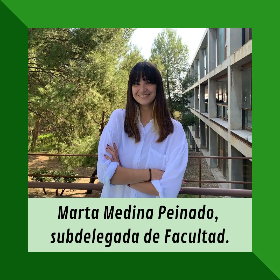 Delegación CCT tweet media