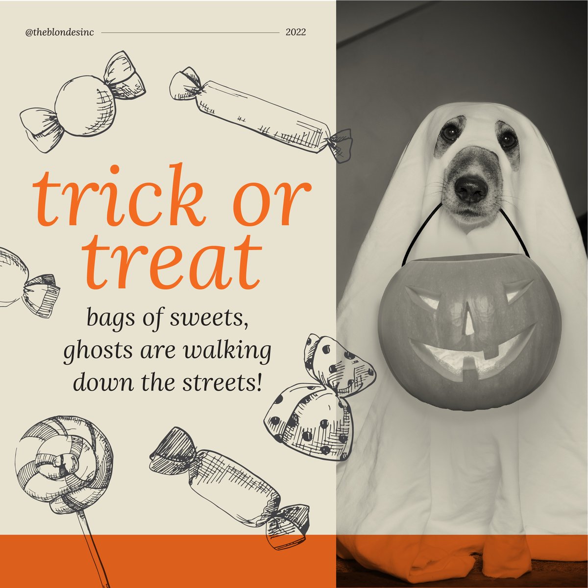 Wishing you all a very happy and safe Halloween! #halloween #treats #Blondes #branding #graphicdesign #waterloodesign #kitchenerdesign