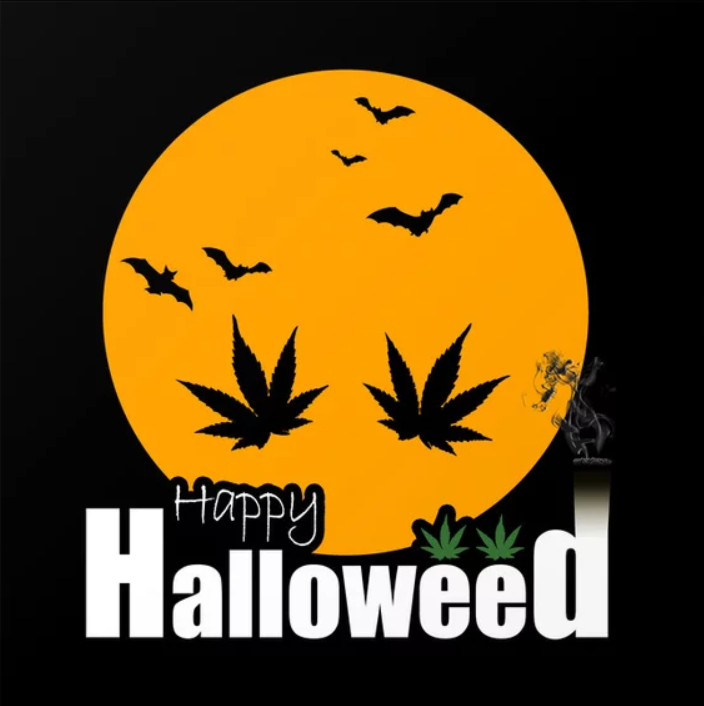 Happy Halloweed friends! 

Our Spooky Sale is still on until the end of the day today! Sale is on at both our #Amherstburg and #Blenheim locations. Selection may vary.

Amherstburg will be closing at 7pm today.

#yourbestbuds #chathamkent #windsoressex #bestinthesouthwest