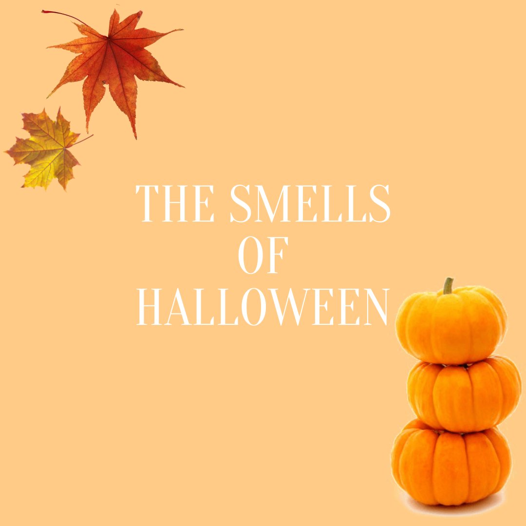 FragranceFDN_UK's tweet image. The spookiest night of the year has finally come! From bonfire to soul cakes, candy apples and pumpkins, everyone upholds a very personal and unique #scentmemory of #halloween, largely influenced by our cultural olfactory heritage. What does Halloween #smell like to you?