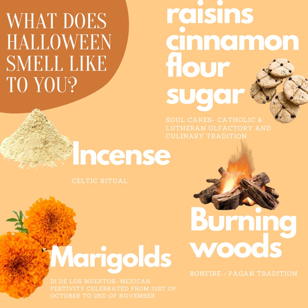 FragranceFDN_UK's tweet image. The spookiest night of the year has finally come! From bonfire to soul cakes, candy apples and pumpkins, everyone upholds a very personal and unique #scentmemory of #halloween, largely influenced by our cultural olfactory heritage. What does Halloween #smell like to you?