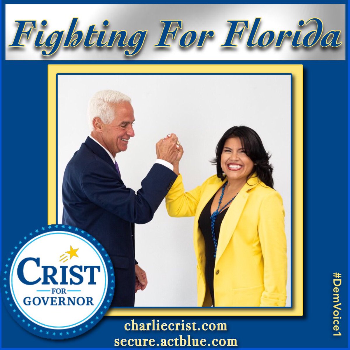 I'm a Dem & a Resister and Im Voting to save Florida..to save the books, women's rights, voting rights, LGBTQ rights & my right to say gay, public education, social security, medicare, DEMOCRACY and more!
#CharlieCristForGovernor 
#FlipFloridaBlue
#SaveSocialSecurity 
🌊🌊