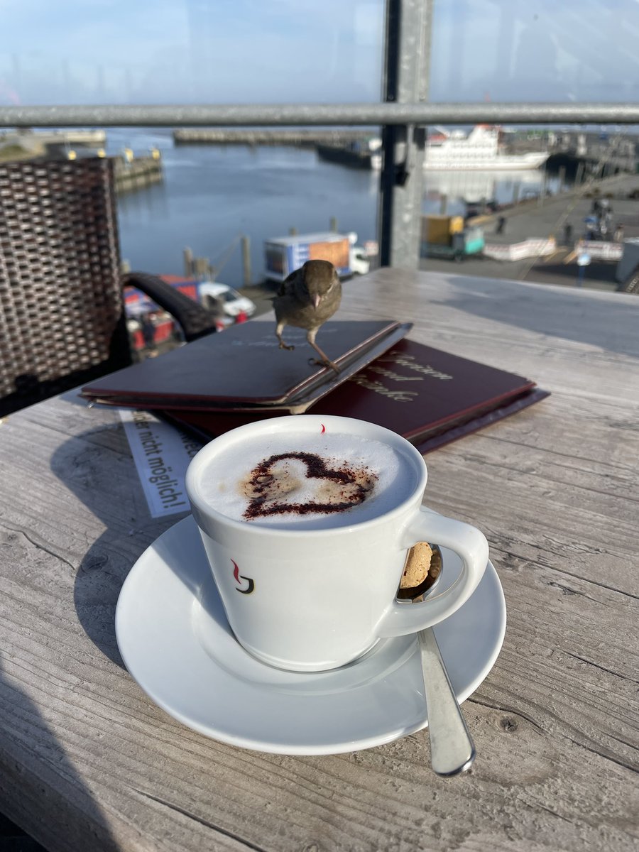 Ey, das ist MEIN Cappuccino…!!!