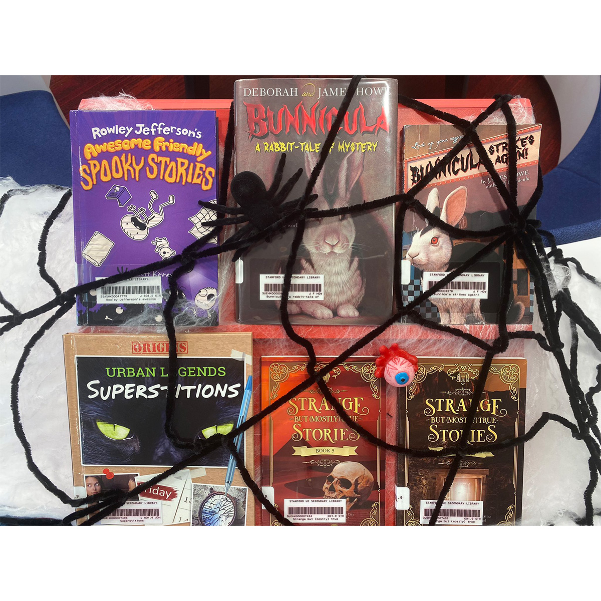 Stamford American School Hong Kong tweet media