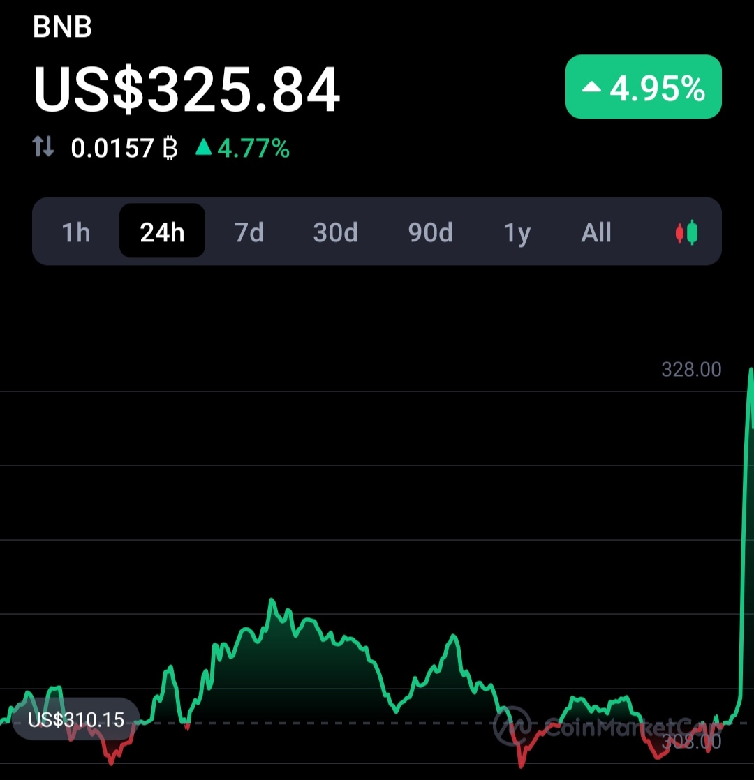 #BNB is in beast mood today🔥