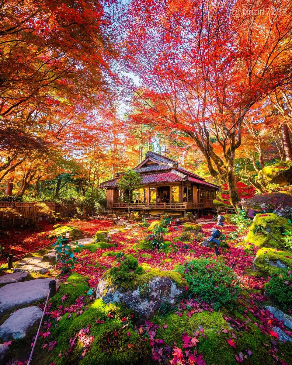 Discover Earth tweet media