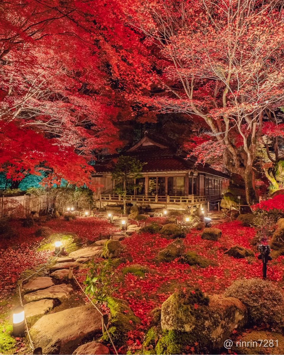 Discover Earth tweet media