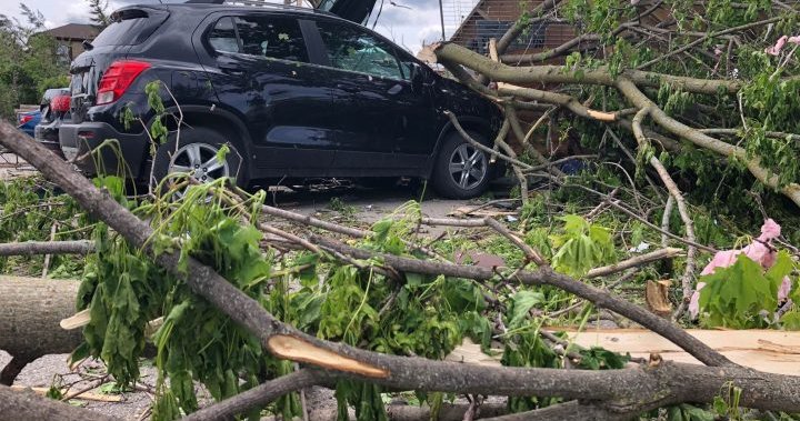 City of Ottawa awaits answers on derecho storm compensation https://t.co/xzA5mSaIzZ https://t.co/JOjXz3NeHo