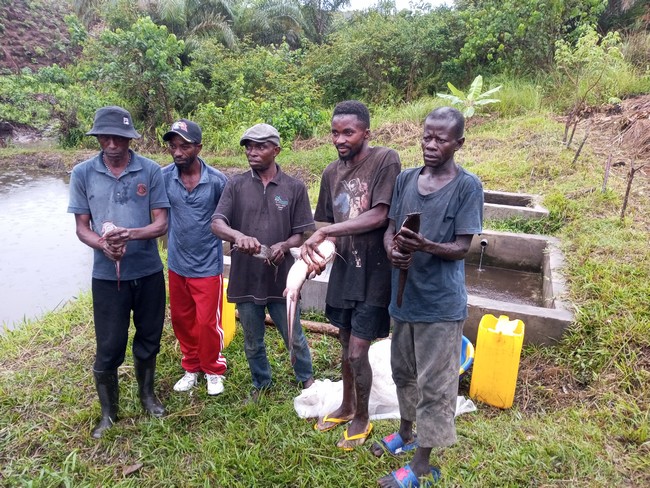 Caritas Congo Asbl (@caritascongo) on Twitter photo #RDC /Kongo Central : une délégation de NORAD visite les résultats de l’appui de la Norvège pour la sécurité alimentaire dans le Territoire de Kasangulu. bit.ly/3finXDm
<a href="/noradno/">Norad</a> <a href="/CaritasNorge/">Caritas Norge</a> <a href="/NorwayInDRC/">Ambassade de Norvège en R.D.C🇳🇴🇨🇩</a> #RDC /Kongo Central : une délégation de NORAD visite les résultats de l’appui de la Norvège pour la sécurité alimentaire dans le Territoire de Kasangulu. bit.ly/3finXDm
<a href="/noradno/">Norad</a> <a href="/CaritasNorge/">Caritas Norge</a> <a href="/NorwayInDRC/">Ambassade de Norvège en R.D.C🇳🇴🇨🇩</a>