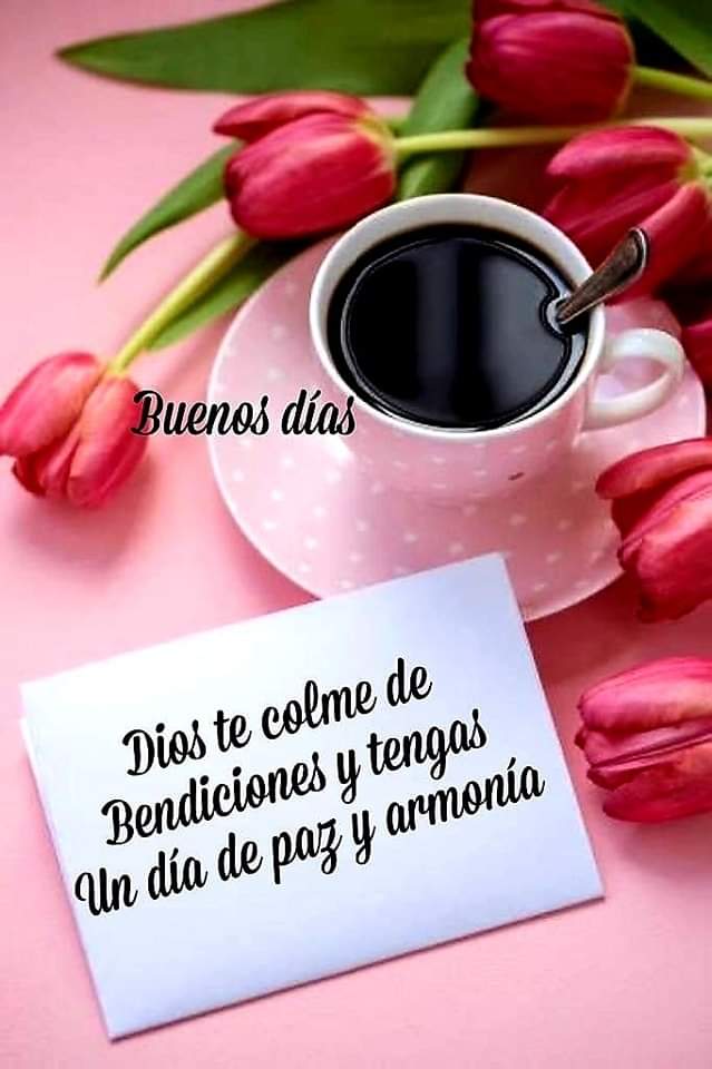 🌷💦🌸💦🌷🌸