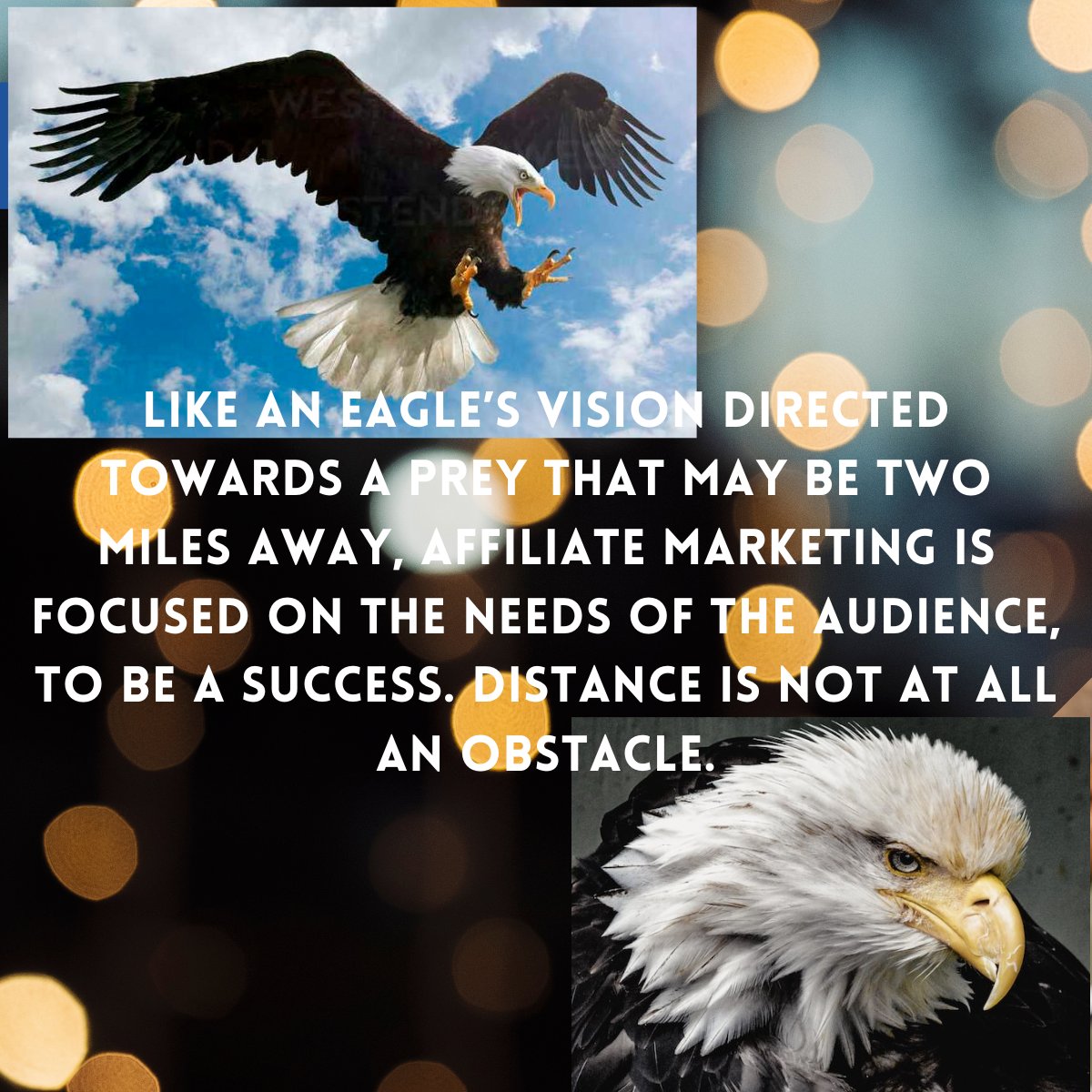 magnetblogging's tweet photo. Tips to achieve success in Affiliate Marketing
#affiliatemarketingtipstobesuccessful #brandsandaffiliatemarketing #creatingincome #passiveincome #generatingincome #magnetblogging #blogging #affiliateprogram #affiliatemarketing #benefitsofaffiliateprogram https://t.co/0iWMkw7u7H