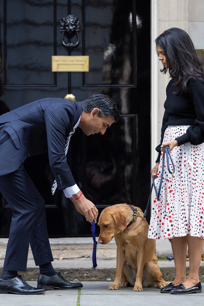 Groovy Views of the News! tweet media