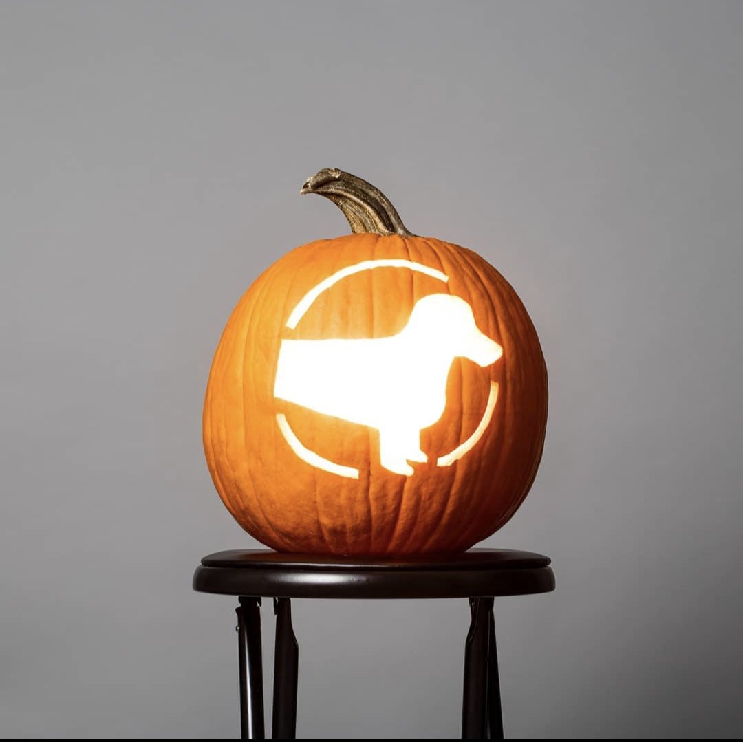 Happy Halloween, from Indie!