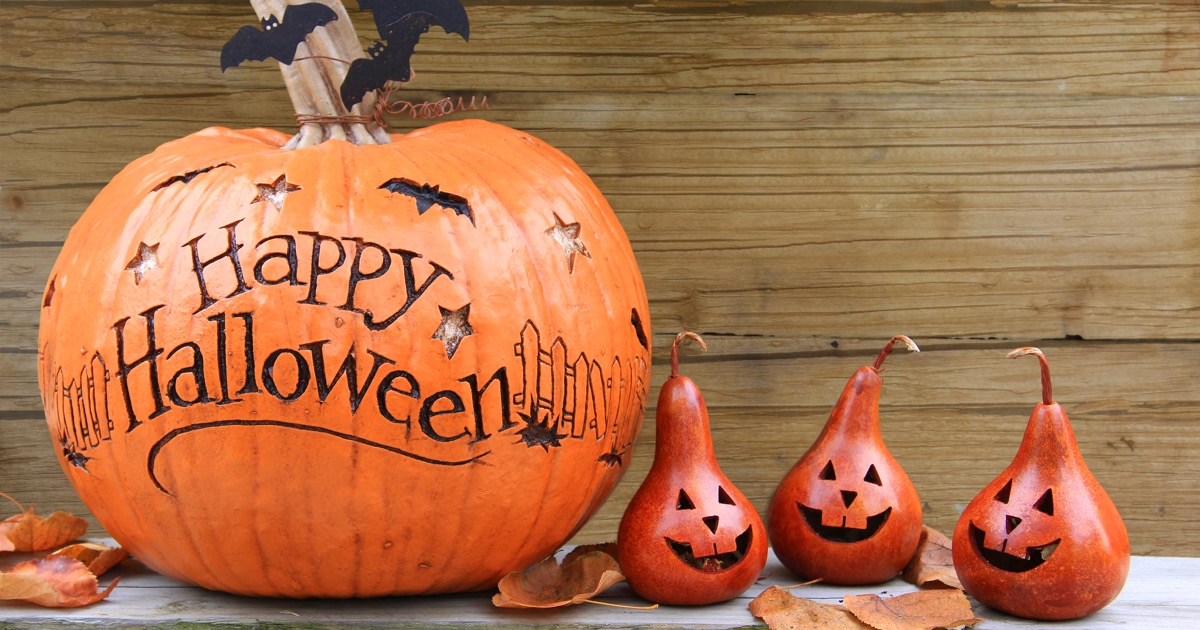 Integrated Staffing tweet media