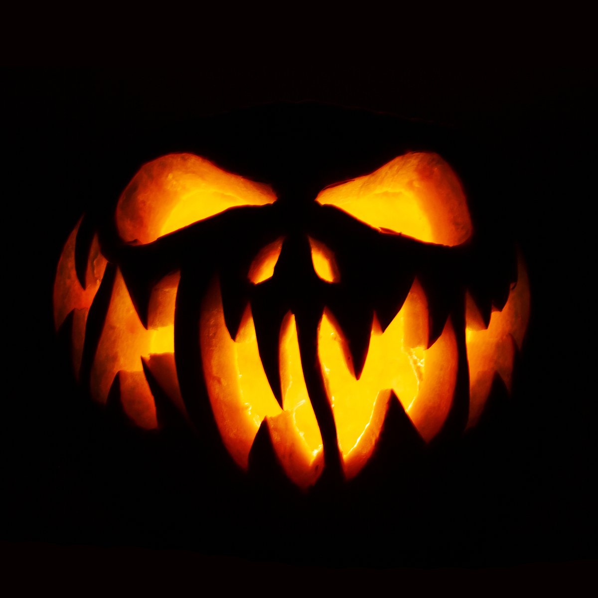 Hour_Detroit's tweet photo. Wishing you a very spooky and Happy Halloween! 🎃 From #HourDetroit https://t.co/Th3p1Q6R1Q