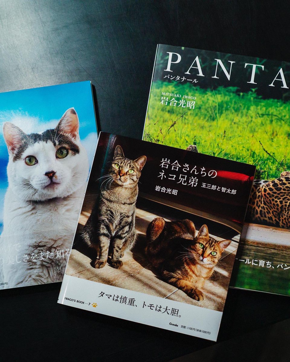 Levis_Japan's tweet photo. 日本人で唯一『ナショナルジオ���ラフティック』誌の表紙を飾り、#ネコファン も魅了し続ける動物写真家 #岩合光昭 氏。動物の魅力、MADE IN JAPAN🇯🇵コレクションの魅力についてお話を伺いました。

ぜひご覧ください😽✨👇
https://t.co/FdPLnSERrM https://t.co/J3bovhwq4J