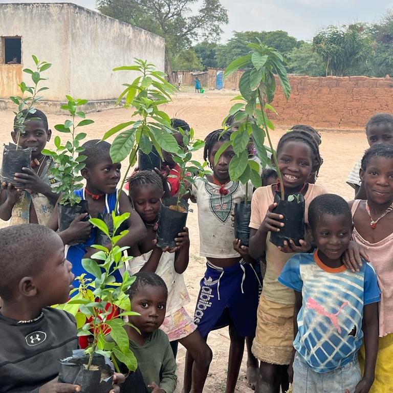 Do Centro Agroecológico do Bimbi #CuandoCubango tiraram-se mudas de árvores que crianças das aldeias vizinhas poderam plantar nas suas comunidades 🌱 A FAO apoia 4 Centros Agroecológicos c/ técnicas adaptação às alterações climáticas e gestão sustentável terras. @theGEF #MINAMB